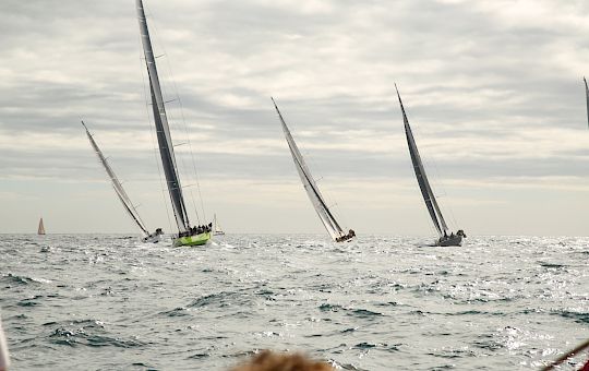 Gallery Home - Immagine